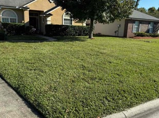 Richard F.'s lawn care service result