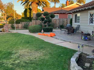 Michelle D.'s Bush Trimming service result