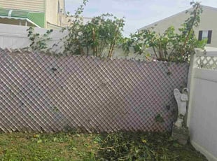 Bridgette G.'s lawn care service result