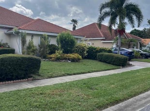 Elizabeth B.'s turf care service result