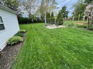 Steven E.'s yard work service result
