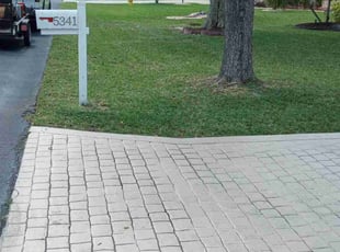 Miguel M.'s grass cutting service result