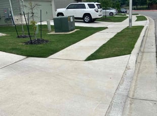 Timothy B.'s grass maintenance service result