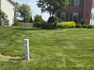 Shalon P.'s turf maintenance service result