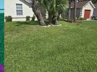 Sonya R.'s grass maintenance service result