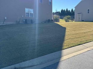 Paula M.'s grass maintenance service result