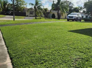 Julia B.'s grass maintenance service result