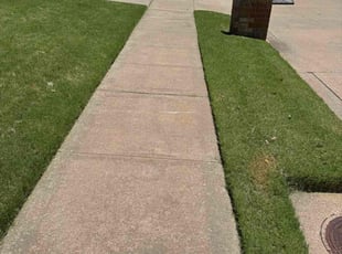 Lisa W.'s grass maintenance service result