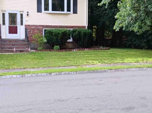 Valencia H.'s grass cutting service result
