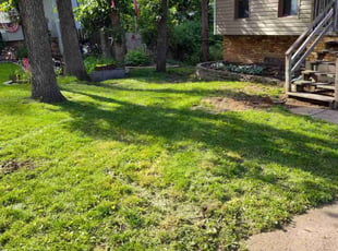 Shirley M.'s Cleanups service result