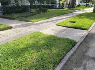 Janice Q.'s grass maintenance service result