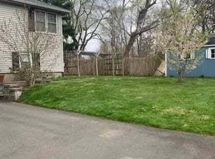 Dana S.'s lawn service service result