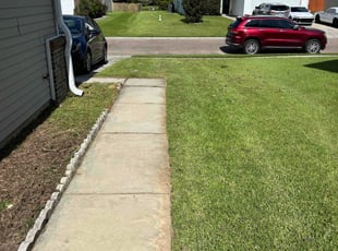 Stephanie H.'s Long Grass Cleanup service result