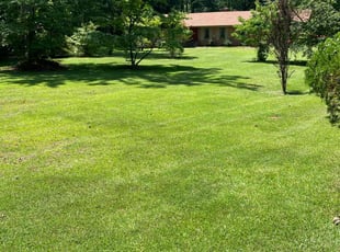Sonja M.'s turf care service result