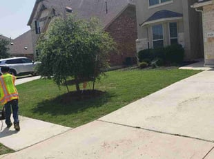 Aaron W.'s lawn care service result