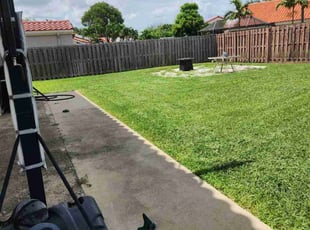 Jimmy D.'s grass maintenance service result