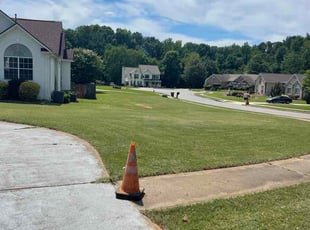 Yana P.'s grass maintenance service result