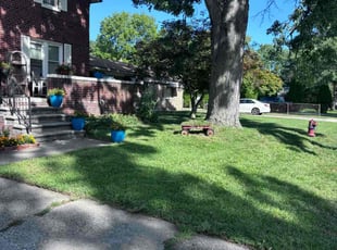 James M.'s lawn care service result
