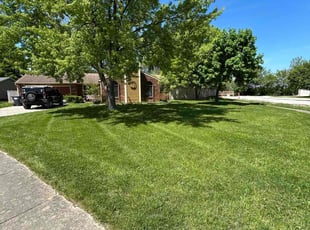 Nancy H.'s lawn care services service result