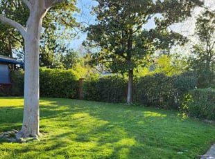 Ruben L.'s turf care service result