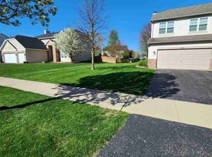 Adam M.'s yard work service result