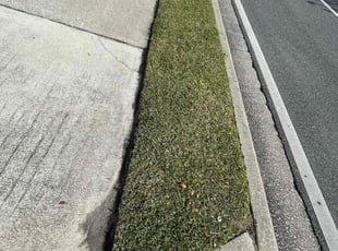 Kathy Y.'s turf maintenance service result