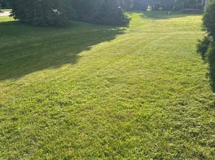 Annie C.'s lawn service service result