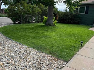 Scott U.'s grass cutting service result