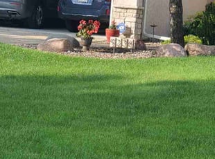 Patricia M.'s lawn maintenance service result