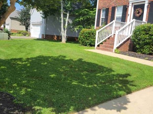 Gustavo S.'s lawn maintenance service result
