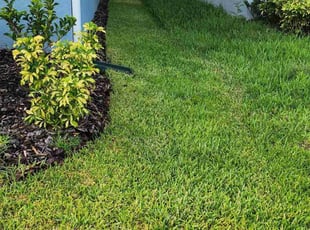 Allison R.'s grass maintenance service result