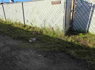 Darla P.'s lawn service service result