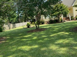 Brendan F.'s lawn service service result