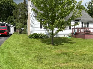 Sheila W.'s lawn maintenance service result