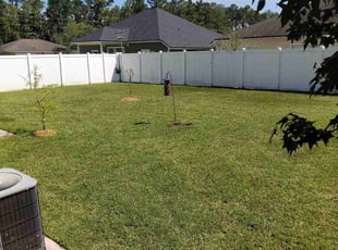 Latosha G.'s grass maintenance service result