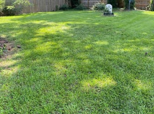 Zree Z.'s residential landscaping service result