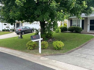 Lauren H.'s lawn care service result