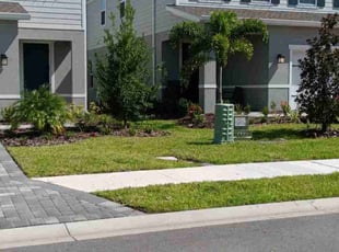 Gregory M.'s turf care service result