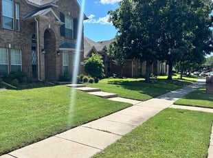 Laura B.'s grass maintenance service result