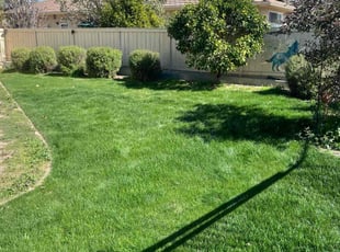 Kimberly G.'s turf care service result