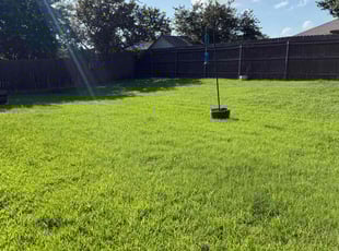 Natacha R.'s yard service service result