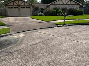 Daveda B.'s yard work service result
