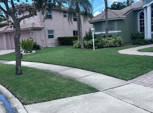 Todd G.'s lawn care service result