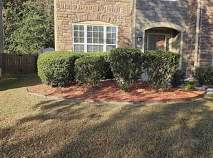 Mr T.'s Bush Trimming service result
