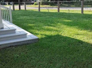 Rodney S.'s turf maintenance service result