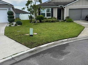 Mike S.'s lawn care service result