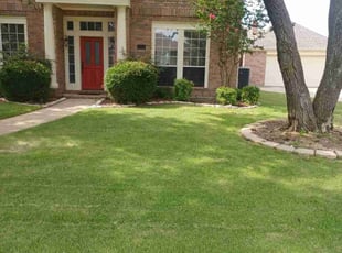 Kimberly P.'s turf maintenance service result
