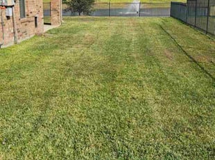 Kristi P.'s lawn maintenance service result