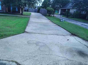 Tony H.'s landscaping service result