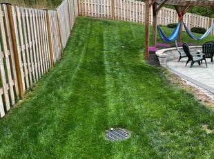 Caenina M.'s grass maintenance service result